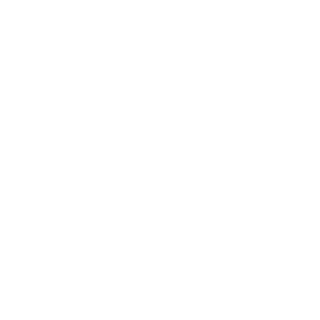KAIST